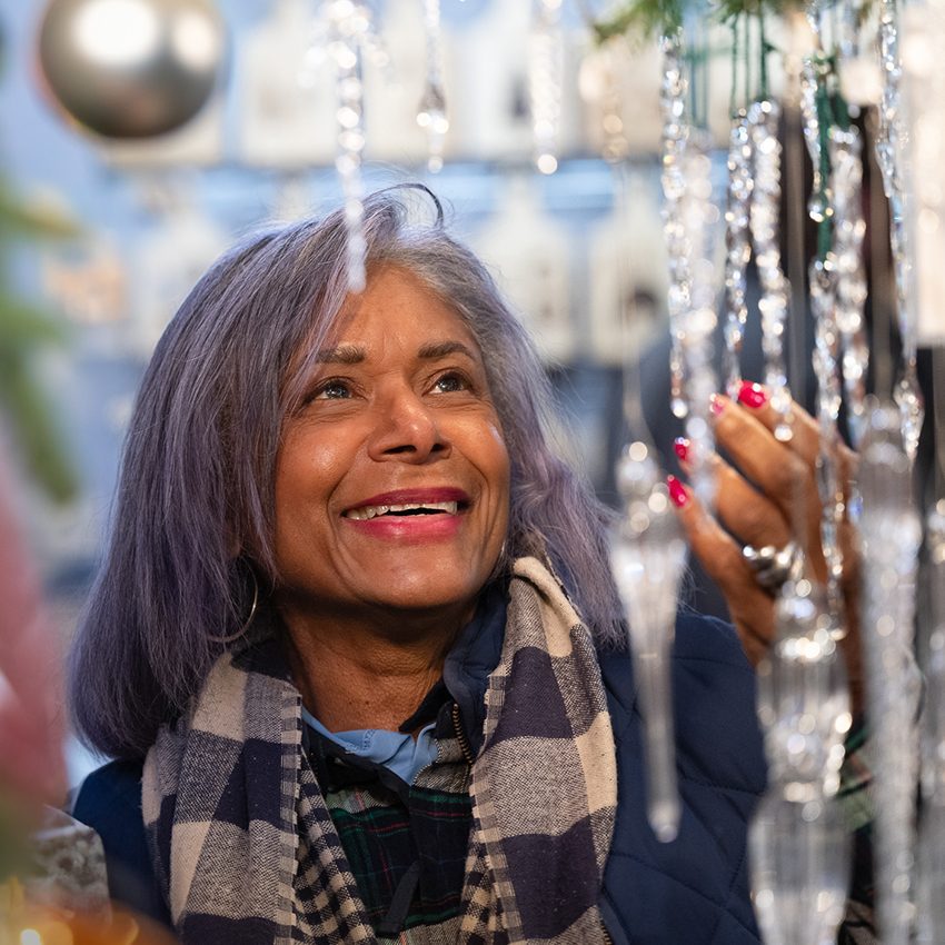 VENDOR_ckm-icicles_850x850